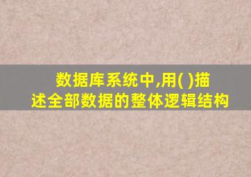 数据库系统中,用( )描述全部数据的整体逻辑结构